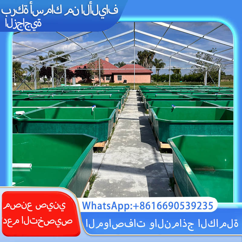 الألياف الزجاجية حوض السمك مربع جولة الأسماك تقلى الحضانة وتكاثر خزان كبير في الهواء الطلق