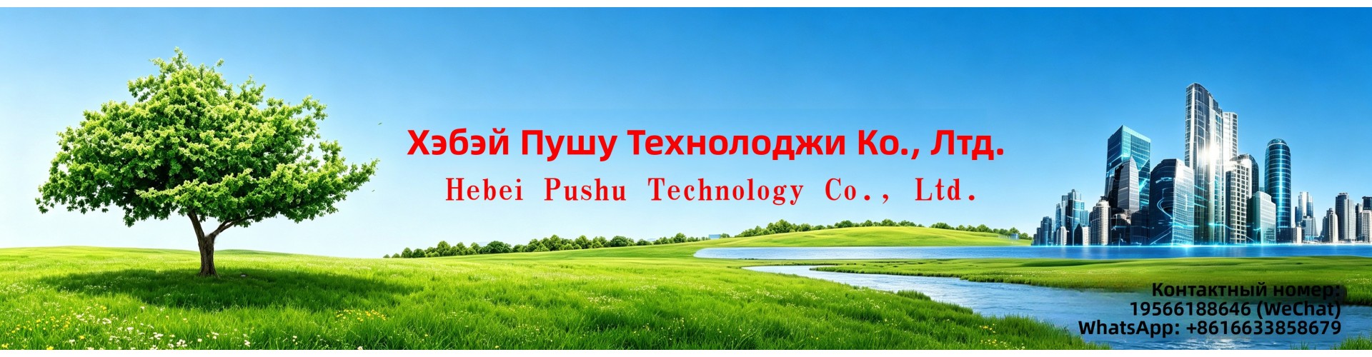 Hebei Pushu Technology Co., Ltd.