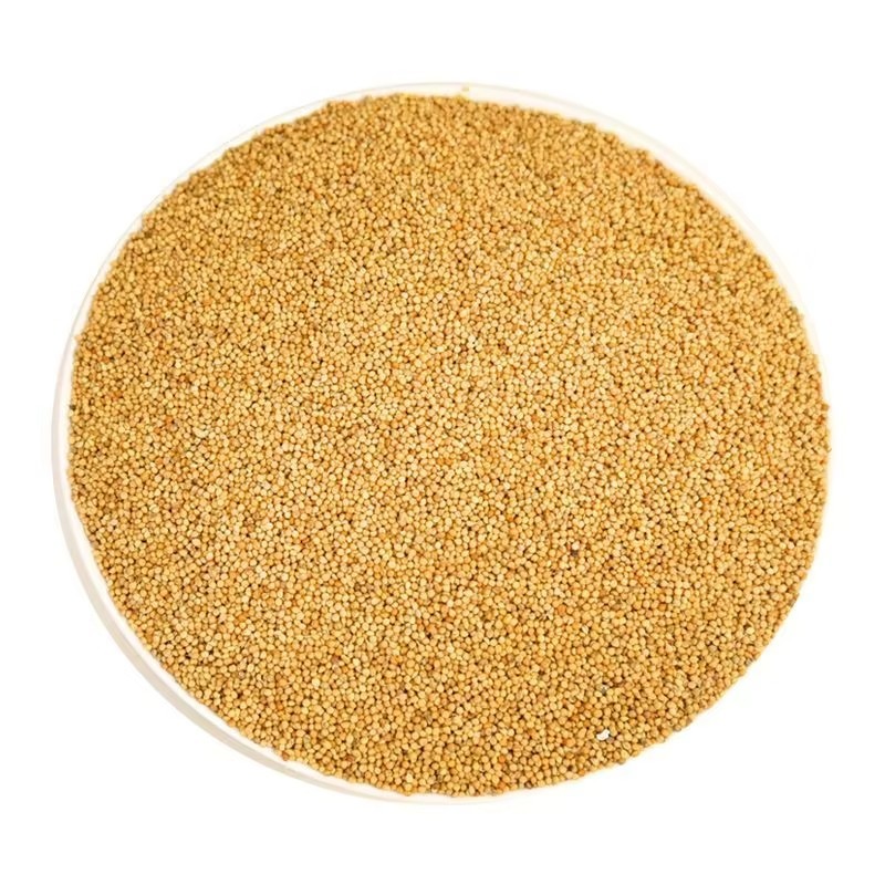 Hulled Millet, Premium Dry Grain, Multi-Colored Grain Mix for Bird Feed, 12 Months Shelf Life