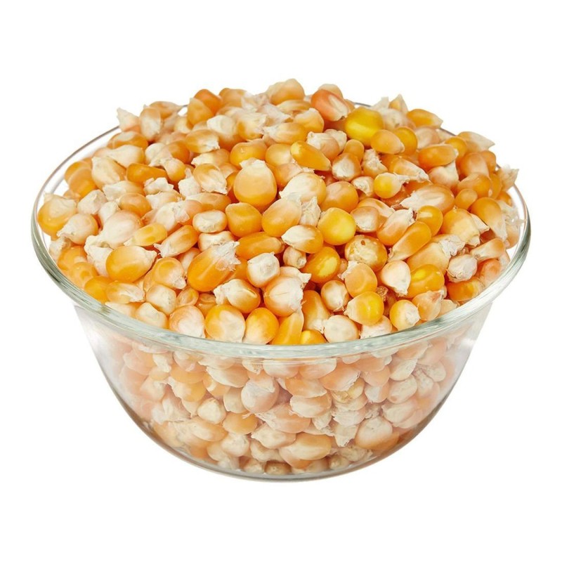 Whole Kernel Dried Corn, Natural Dry Corn Kernels, Uniform Size & Clean Appearance